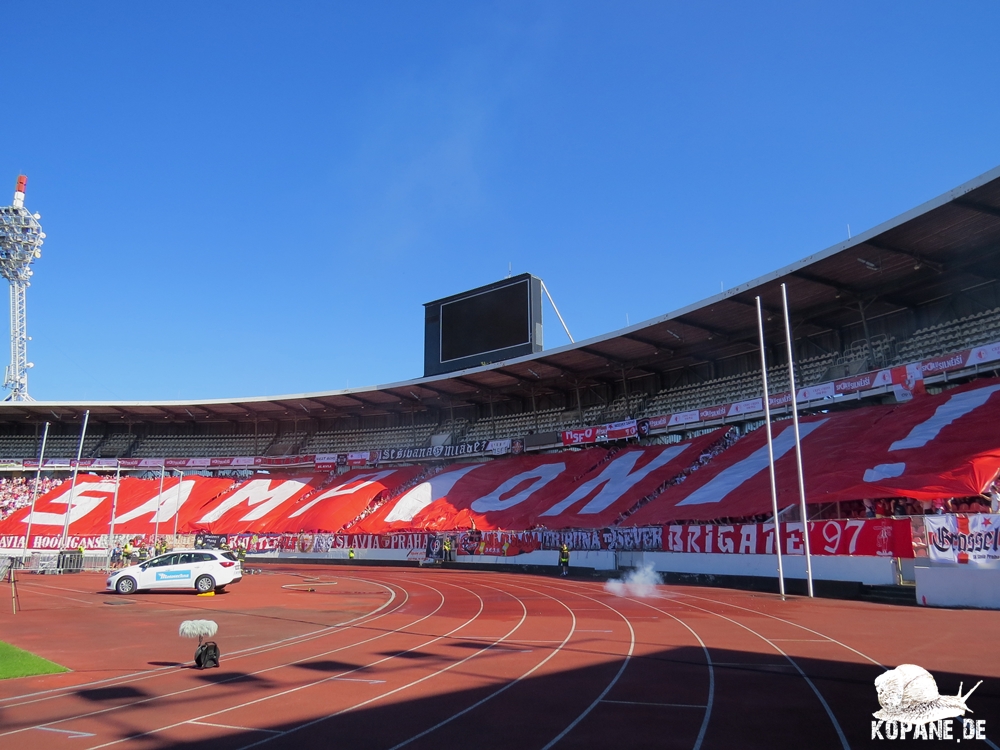 PŘED ZÁPASEM  Slavia - Brno - SK Slavia Praha